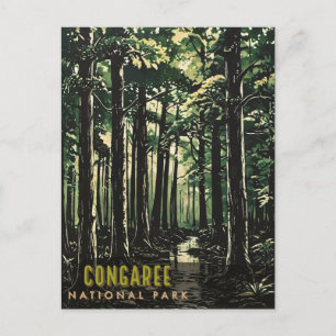 Cartão Postal Parque Nacional do Congaree