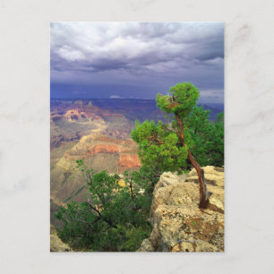Cartão Postal Parque Nacional do Grand Canyon, Arizona, Estados 