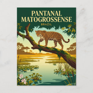 Cartão Postal Parque Nacional do Pantanal Matogrossense Brasil