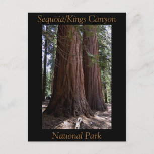Cartão Postal Parque Nacional do Souvenir Sequoia Kings Canyon