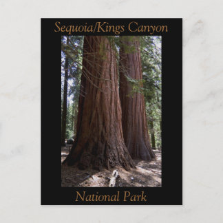 Cartão Postal Parque Nacional do Souvenir Sequoia Kings Canyon