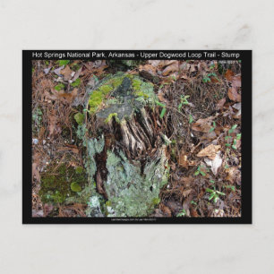 Cartão Postal Parque Nacional dos Primaveras Quentes, AR Upper D