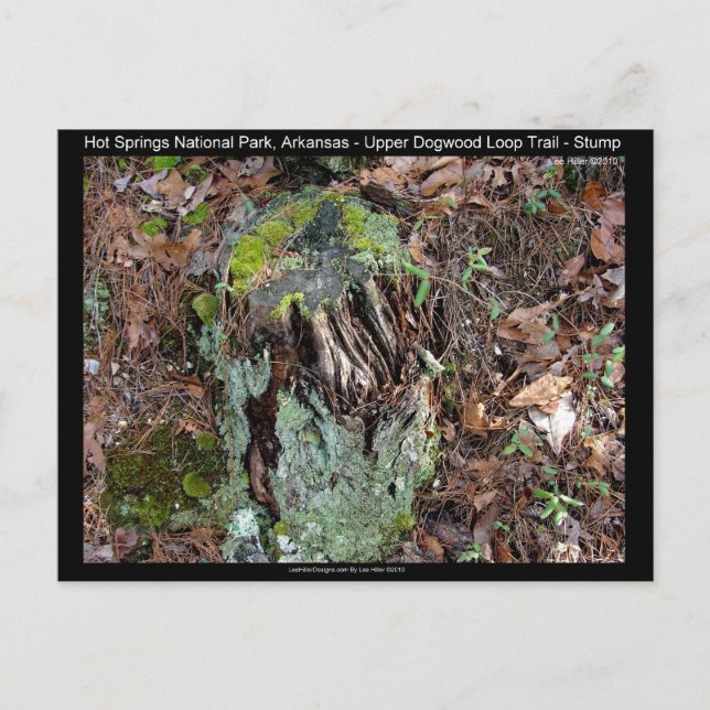 Cartão Postal Parque Nacional dos Primaveras Quentes, AR Upper D (Frente)