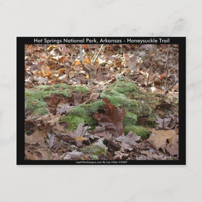 Cartão Postal Parque Nacional dos Quentes-Primaveras, AR - Trilh (Frente)