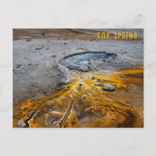 Cartão Postal Parque Nacional Ear Primavera Yellowstone (Frente)