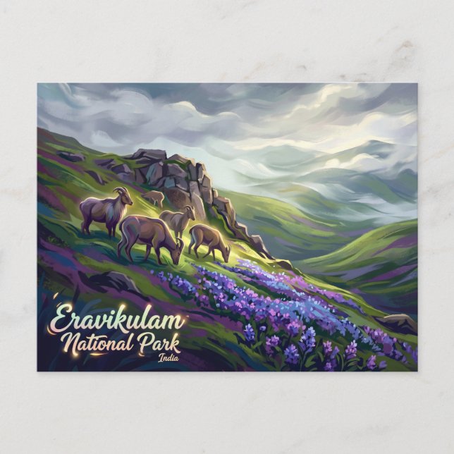 Cartão Postal Parque Nacional Eravikulam Índia (Frente)