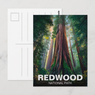 Cartão Postal Parque nacional estadual Redwood, Califórnia Coste