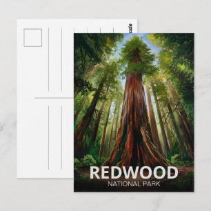 Cartão Postal Parque nacional estadual Redwood, Califórnia Coste