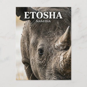 Cartão Postal Parque Nacional Etosha Namíbia
