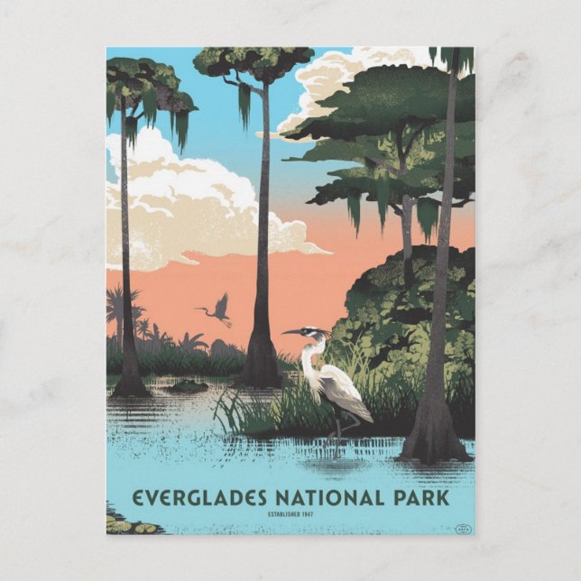 Cartão Postal Parque nacional Everglades (Frente)