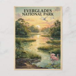 Cartão Postal Parque Nacional Everglades Aquarela de Vida Selvag