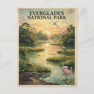 Cartão Postal Parque Nacional Everglades Aquarela de Vida Selvag