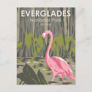 Cartão Postal Parque Nacional Everglades Flamingo Vintage, Flami