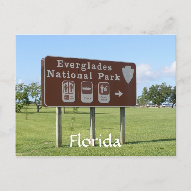 Cartão Postal Parque Nacional Everglades, Flórida (Frente)