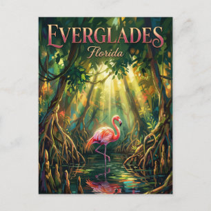 Cartão Postal Parque Nacional Everglades Flórida