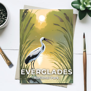 Cartão Postal Parque Nacional Everglades   Watercolor Stork