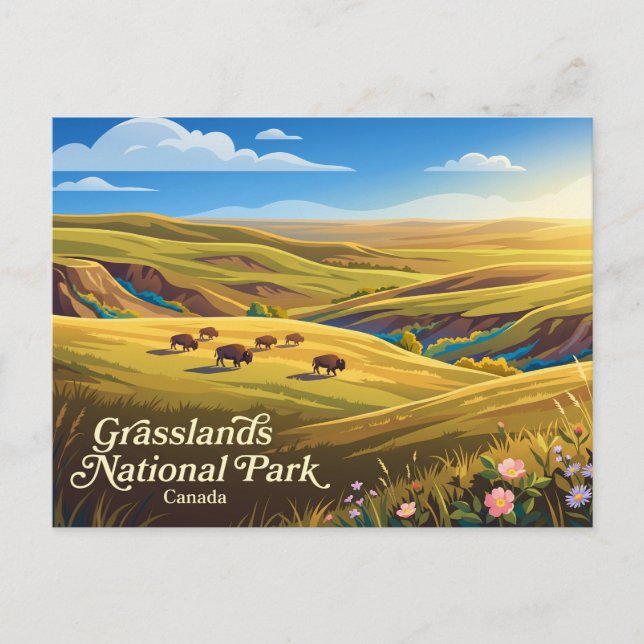 Cartão Postal Parque Nacional Grasslands Canadá (Frente)