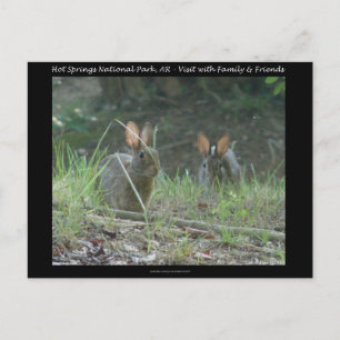 Cartão Postal Parque Nacional Hot Springs, AR Presentes Coelhos 