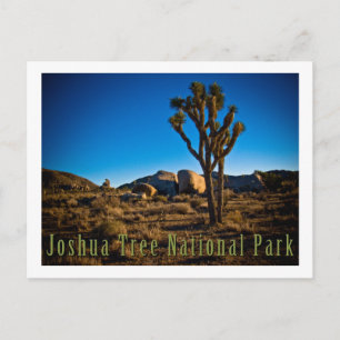 Cartão Postal Parque Nacional Joshua Tree