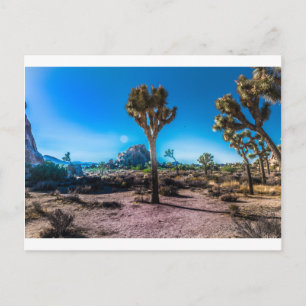Cartão Postal Parque Nacional Joshua Tree