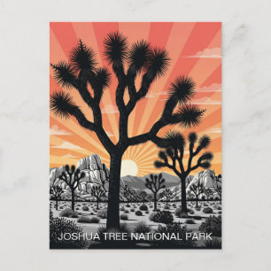 Cartão Postal Parque Nacional Joshua Tree