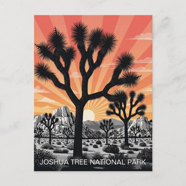 Cartão Postal Parque Nacional Joshua Tree (Frente)