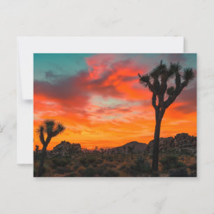 Cartão Postal Parque Nacional Joshua Tree