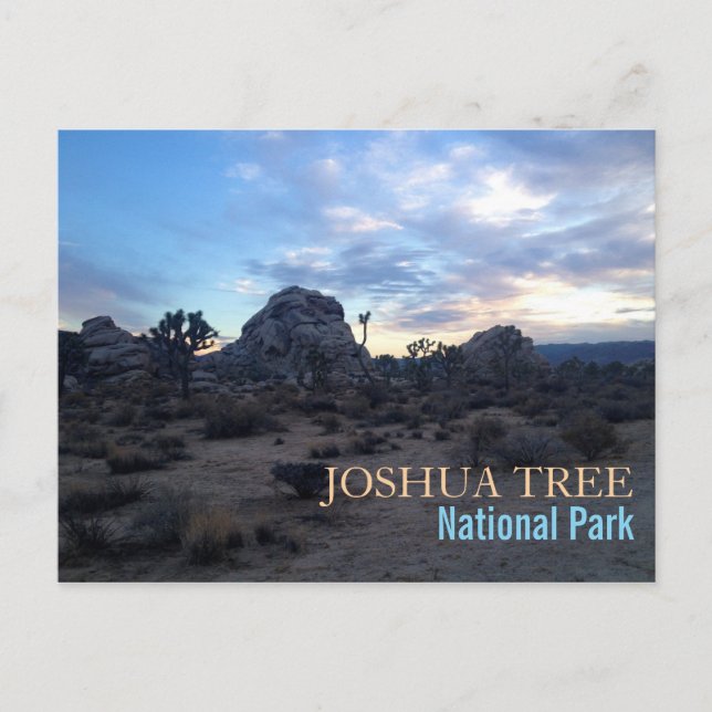 Cartão Postal Parque Nacional Joshua Tree (Frente)