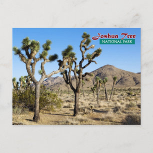 Cartão Postal Parque Nacional Joshua Tree, Califórnia