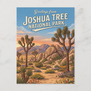 Cartão Postal Parque Nacional Joshua Tree Califórnia