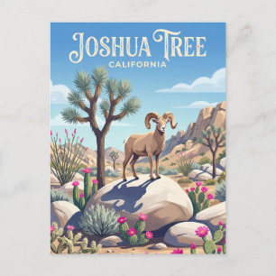 Cartão Postal Parque Nacional Joshua Tree EUA
