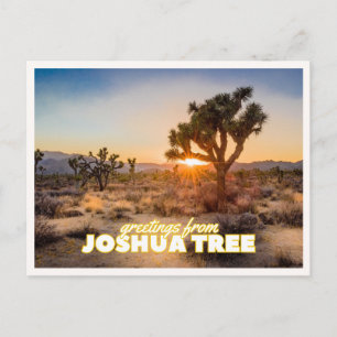 Cartão Postal Parque Nacional Joshua Tree Pôr do Sol Viagem Retr