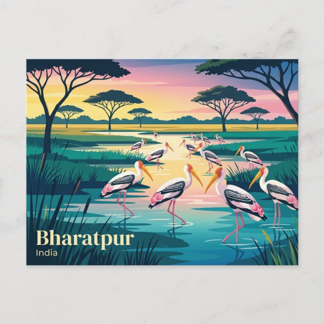 Cartão Postal Parque Nacional Keoladeo Índia (Frente)