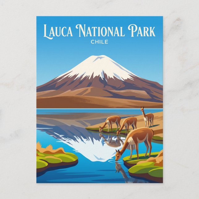 Cartão Postal Parque Nacional Lauca Chile (Frente)
