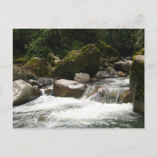 Cartão Postal Parque Nacional Manu