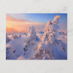 Cartão Postal Parque Nacional Mont Logan Sunrise Gaspesie Quebec
