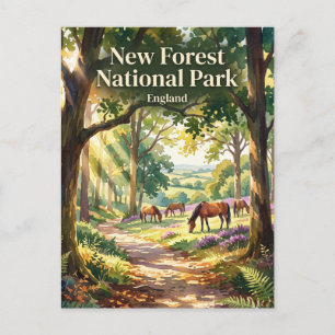 Cartão Postal Parque Nacional New Forest Reino Unido