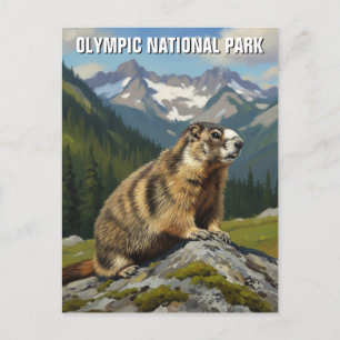 Cartão Postal Parque nacional olímpico de Washington viagem