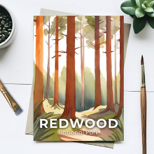 Cartão Postal Parque Nacional Redwood   Árvores em Aquarela