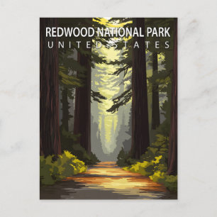Cartão Postal Parque Nacional Redwood Floresta para Caminhada