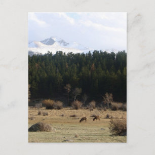 Cartão Postal Parque Nacional Rocky Mountain