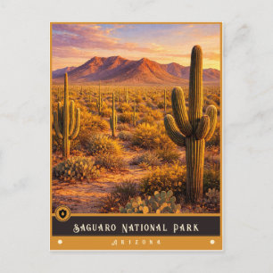 Cartão Postal Parque Nacional Saguaro   Arizona Postcard Antigo