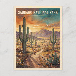 Cartão Postal Parque Nacional Saguaro Viagem Vintage