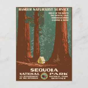 Cartão Postal Parque Nacional Sequoia