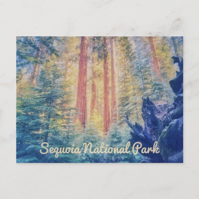 Cartão Postal Parque Nacional Sequoia (Frente)