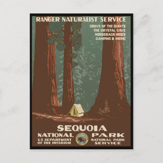 Cartão Postal Parque Nacional Sequoia