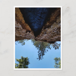 Cartão Postal Parque Nacional Sequoia: Dias Cães