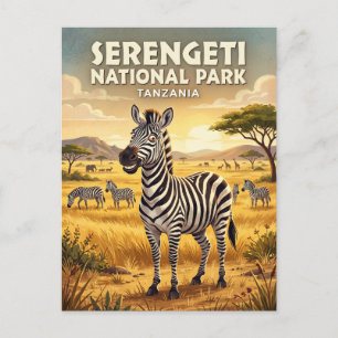 Cartão Postal Parque Nacional Serengeti Zebra Tanzânia