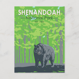 Cartão Postal Parque Nacional Shenandoah Urso Preto Vintage
