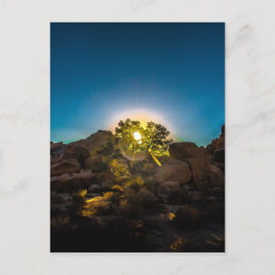 Cartão Postal Parque Nacional Sunrise Joshua Tree